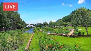 Cihu Memorial Sculpture Park Live Cam 慈湖水岸廣場即時影像 [upl. by Teak]