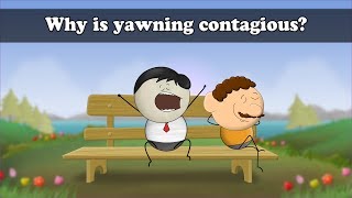 Why is yawning contagious  aumsum kids science education children [upl. by Siusan]