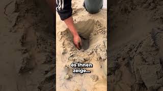 IM SAND GRABEN um einen SCHATZ ZU FINDEN 😱 [upl. by Walburga]