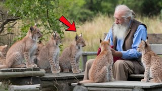 Little Lynx Cubs Surround Man Just Watch What Happens Next Its Unbelievable [upl. by Anoynek]