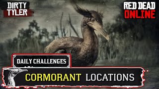 RDR2 Cormorant Locations Red Dead Online Daily Challenges [upl. by Amora24]