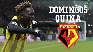 DOMINGOS QUINA  WATFORD WONDERKID [upl. by Traweek]