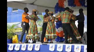 Performing at the CARIBBEAN WELLNESS DAY festival [upl. by Aisat790]