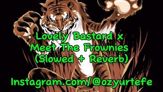 Lovely Bastard x Meet The Frownies Slowed  Reverb music lovelybastards [upl. by Obel]