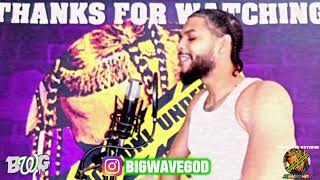 BIGWAVEGOD DOES WHATEVER HE FEEL LIKE [upl. by Demetris740]