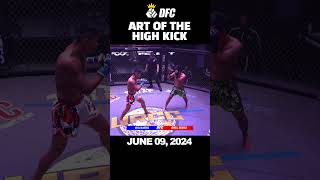 ART OF THE HIGH KICK dynastyfightclub pinoy mma highlight viral sports boxing urcc [upl. by Rehtae73]