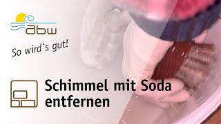 Schimmel mit Soda entfernen  neuem Schimmel vorbeugen [upl. by Salocin]