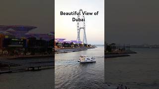 Beautiful View of Ain Dubai ❤️ [upl. by Soane526]