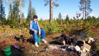 Sista Jakten  En kort dokumentär om älgjakten i Tornedalen [upl. by Einnej]