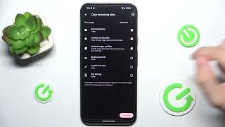 How to Clear Browser Data in GOOGLE Pixel 9 Pro XL [upl. by Kippie242]