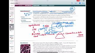 Hyperaldosteronism endocrinology 77  First Aid USMLE Step 1 in UrduHindi [upl. by Naoh]