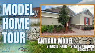 Stansil Park at Starkey Ranch  Taylor Morrison Homes Antigua Model [upl. by Bowler]