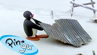 Productive Pingu 🐧  Pingu  Official Channel  Cartoons For Kids [upl. by Clellan]