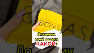 Артикул на Ozone 1686757372 собакаулыбака юмор собака хаскивидео собаки топ питомцы щенок [upl. by Ahsahs]