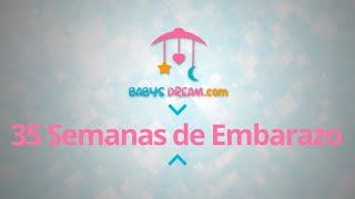 Bebé  35 Semanas de Embarazo  Signos y síntomas del embarazo [upl. by Nnayrrehs]