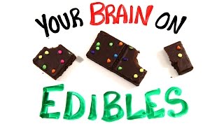 Your Brain On Edible Marijuana [upl. by Liagiba]