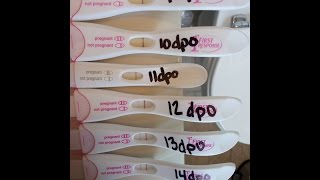 EARLY PREGNANCY TEST LINE PROGRESSION 9DPO  14DPO Baby 4 [upl. by Hait827]