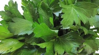 Two 2 TIPS On storing FRESH PARSLEY  How to store PARSLEY [upl. by Harneen898]