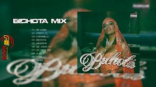 Bichota MixKarol G Radiomix [upl. by Easton600]