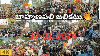 బ్రాహ్మణపల్లి జల్లికట్టు 🔥  Bramhana Palli Jallikattu 2024  Full video in 4k  jallikattu bulls [upl. by Eiduj]