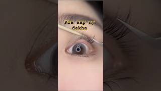 Kia Aap Ko Bhi Aisi Lashes Chahye shorts bestmakeuptransformations2024beautytipsforeverygirls [upl. by Mauretta552]