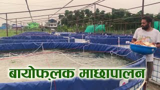 Biofloc Farm update in Lockdown period Biofloc Fish Farming in Nepal [upl. by Ioj]