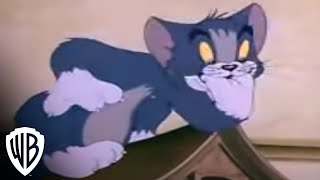 Tom and Jerry Spotlight Collection  Volume 2 Trailer  Warner Bros Entertainment [upl. by Atsirtal522]