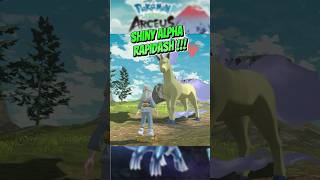 Pokemon Legends Arceus  Catch Shiny ALPHA Rapidash pokemonlegendsarceus shinyalpha [upl. by Jordon]