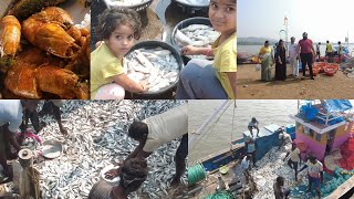 Jivana Bander  Fish 🐠🐟 Market  Shrivardhan  Konkan Series  Epi  04  2024 [upl. by Eanod]