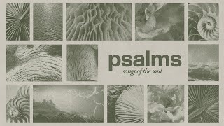 Psalms 2 16 22 72 110 118  Royal  Pastor Doug Sauder [upl. by Hayifas]