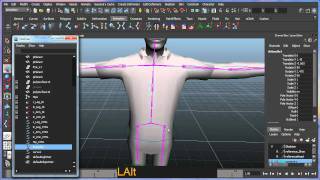 Basic bipedal character rigging setup in Maya  Part 4 of 8 [upl. by Cadal]