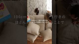 やっぱり床に座りたくなる人へ🛋️「あぐらをかける」ソファーを作りました。 [upl. by Rother]