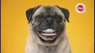 Pedigree Dentastix Doggie Dentures [upl. by Atinram]