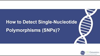 What is singlenucleotide polymorphism and how to detect it [upl. by Eugaet]