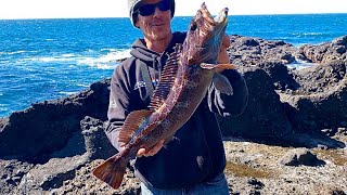 Rock Fishing The Oregon Coast Lingcod FISHING HEAVEN [upl. by Naillij376]