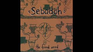 Sebadoh Freed Weed 1990 Full Album [upl. by Trescha]