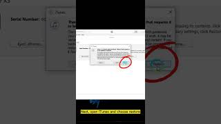 How to Fix iPhone Green Screen with iTunesshorts iphone itunes [upl. by Lledualc]