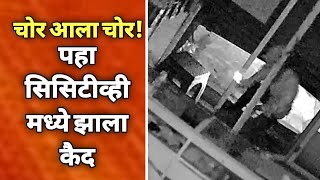 cctv video news  मोबाईल चोरी करताना सीसीटीव्ही मध्ये कैद चोर [upl. by Dombrowski72]