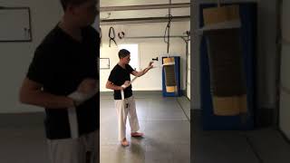 Sagi Makiwara Training Heian Shodan and hooking hand Shotokan white belt [upl. by Eerpud]