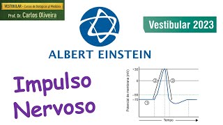 Impulso nervoso  Albert Einstein 2023 [upl. by Enylodnewg]