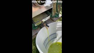 How to turn sorghum into syrup from start to finish [upl. by Wolliw622]