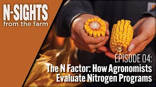 The N Factor How Agronomists Evaluate Nitrogen Programs [upl. by Franny304]