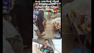 വിശപ്പിന്റെ വിലയറിയുന്നവൻ ❤️ dog viralvideo youtubeshorts shortsfeed reaction [upl. by Retseh]