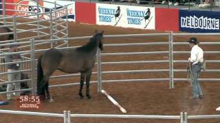 THE WAY OF THE HORSE DVD FIRST 10 MIN FILMED AT EQUITANA MELBOURNE AUSTRALIA 2010 [upl. by Shellie]