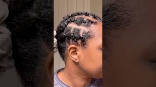 I Tried this parting method for my Crochet Braids [upl. by Nerty]