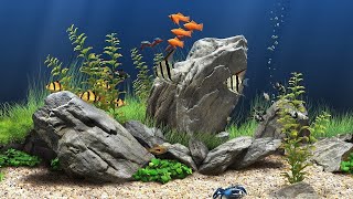 Dream Aquarium Screensaver 4K UHD [upl. by Kcirrem]