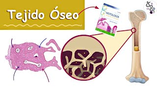 Tejido Óseo Hueso  Histología Ross  Medicina [upl. by Shandra]