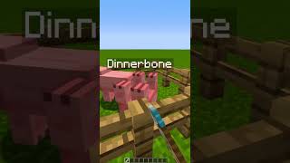 What happens when you name a Mob “Dinnerbone” shorts minecraft minigames [upl. by Sivolc581]