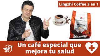 Lingzhi coffee 3 en 1 beneficios para tu salud  Café con ganoderma [upl. by Llerrit]