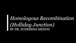 Homologous Recombination Holliday Junction [upl. by Hamlani]